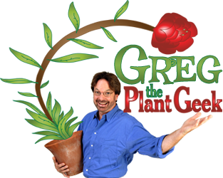 Plant Geek